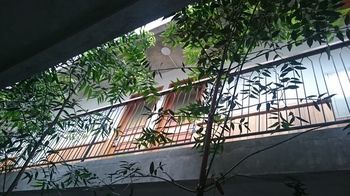 Oliver'S Hostelry Μπαντούνγκ Εξωτερικό φωτογραφία